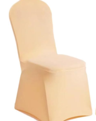 Stretch Black Chair Cover - Champagne